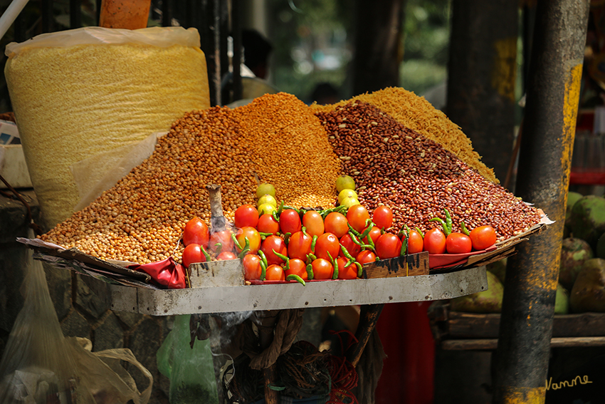 Dehli - Impressionen
Schlüsselwörter: Indien, Dehli