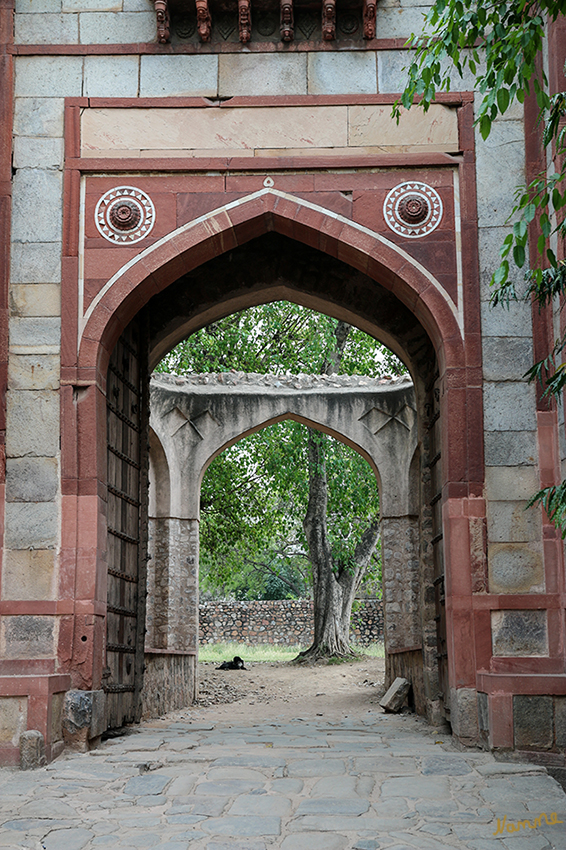 Dehli - Araba Sarai Gateway
Tor rechts auf dem Weg zum Grab von Humayun
Schlüsselwörter: Indien, Dehli