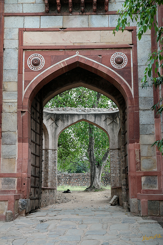 Dehli - Araba Sarai Gateway
Tor rechts auf dem Weg zum Grab von Humayun
Schlüsselwörter: Indien, Dehli