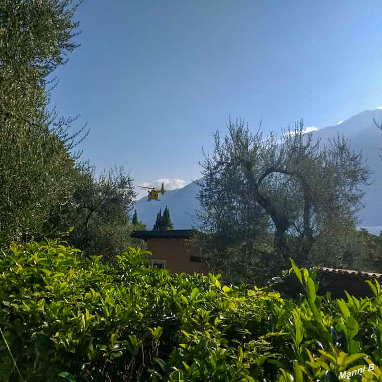 Limone
am Gardasee
Schlüsselwörter: Italien, Limone