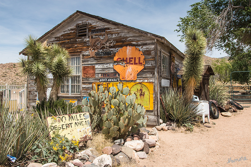 Hackberry General Store
Das ganze Ambiente wirkt wie in einem alten Roadmovie. Es fehlte nur noch der im warmen Wind vorbeiwehende Grasbüchel.
Schlüsselwörter: Amerika, Hackberry, Store