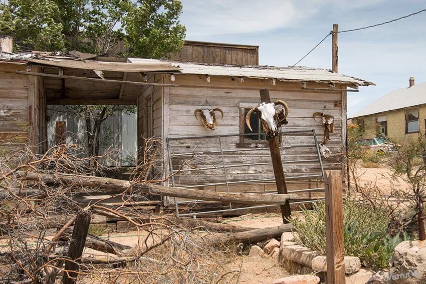 Hackberry General Store
Das ganze Ambiente wirkt wie in einem alten Roadmovie. Es fehlte nur noch der im warmen Wind vorbeiwehende Grasbüchel.
Schlüsselwörter: Amerika, Hackberry, Store