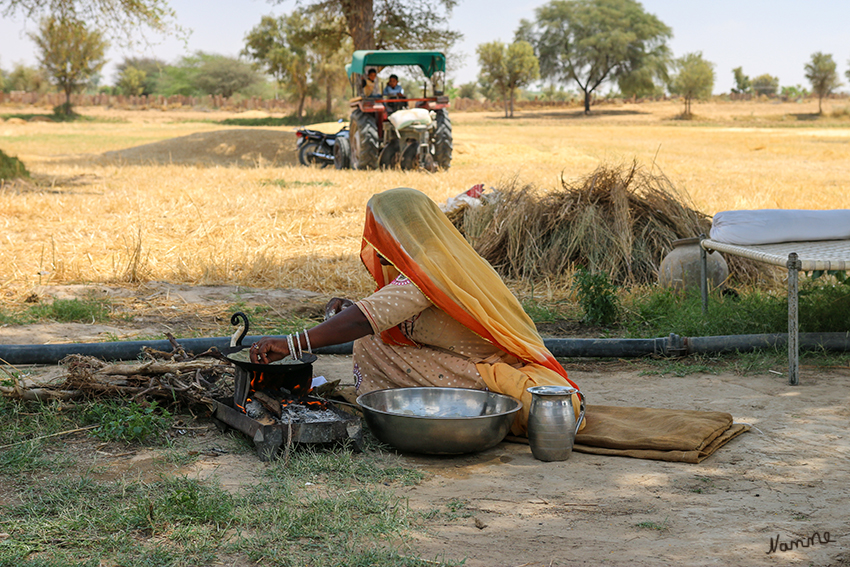 Manvar - Wüstencamp
Unter freiem Himmel würde für uns das Essen zubereitet.
Schlüsselwörter: Indien, Manvar, Wüstencamp