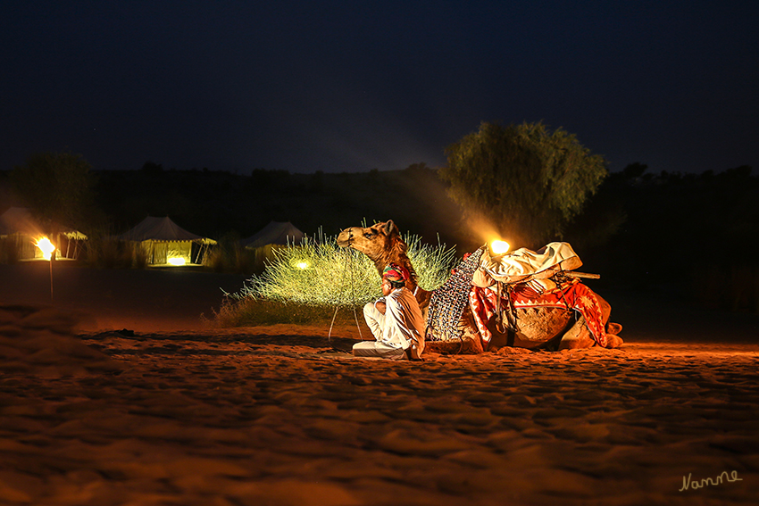 Manvar - Wüstencamp
Im Camp wartete eine Folklore Tanzshow unter freiem Sternenhimmel auf uns. Auf großen Kissen im Schein von Fackeln, lauschten wir der traditionellen Musik und genossen die gereichten Snacks.
Schlüsselwörter: Indien, Manvar, Wüstencamp