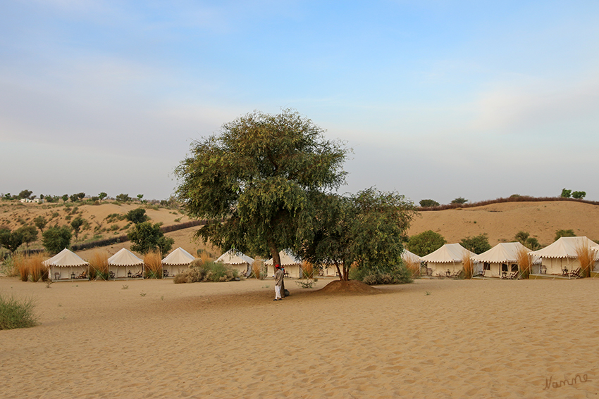 Manvar - Wüstencamp
Liebevoll gestaltete Zelte warteten auf uns. Wir hatten ein wundervolles Badezimmer mit Dusche und fließendem Wasser.
Schlüsselwörter: Indien, Manvar, Wüstencamp