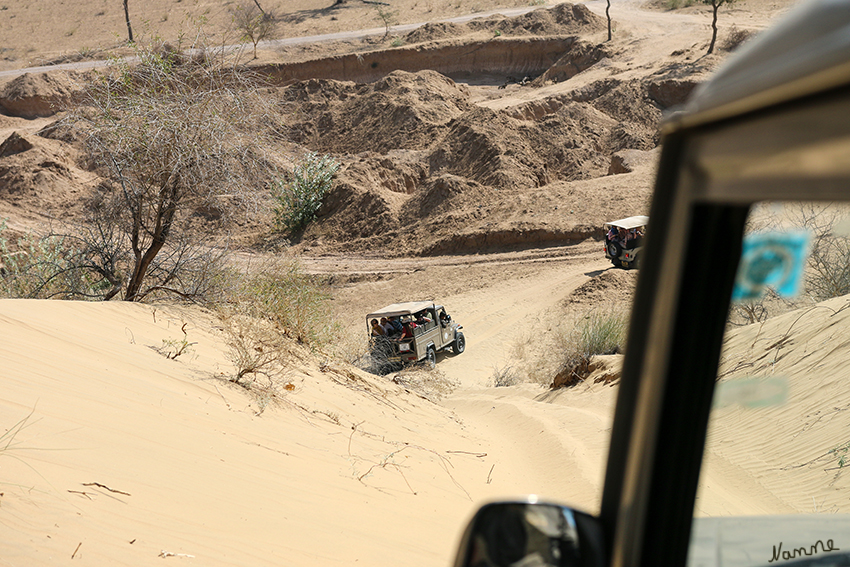 Manvar - Geländewagentour
Unsere Fahrer waren Offroad-Erfahren und das zeigten Sie uns auch. Anfangs waren es nur kleine Drifts, doch dann kamen Sandhänge die wir bergab rasten. Ein wundervolles Erlebnis.
Schlüsselwörter: Indien, Manvar