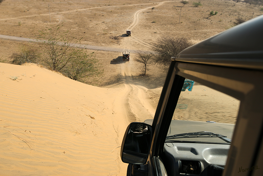 Manvar - Geländewagentour
Unsere Fahrer waren Offroad-Erfahren und das zeigten Sie uns auch. Anfangs waren es nur kleine Drifts, doch dann kamen Sandhänge die wir bergab rasten. Ein wundervolles Erlebnis.
Schlüsselwörter: Indien, Manvar