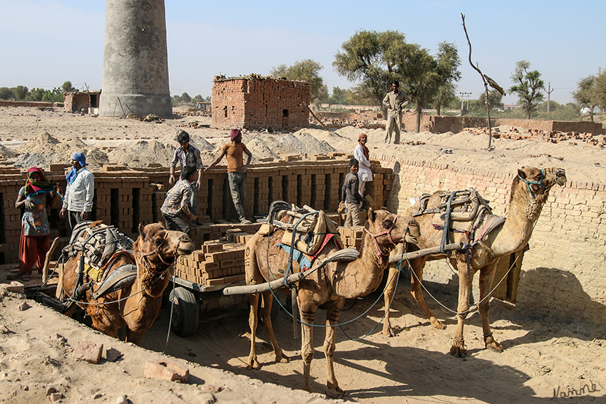 Fotostopp
bei einer der vielen Ziegelleien die auf unserem Weg lagen.
Schlüsselwörter: Indien, Ziegelei