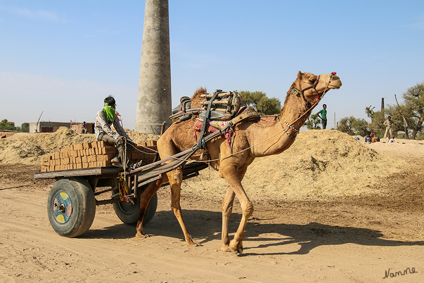 Fotostopp
bei einer der vielen Ziegelleien die auf unserem Weg lagen.
Schlüsselwörter: Indien, Ziegelei