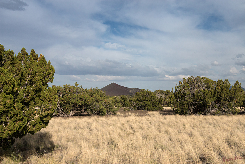 Wupatki - Sunset Crater Volcano 
Der 35 Meilen Rundweg führt durch eine abwechslungsreiche Landschaft aus Lavafeldern, Bäumen und grasbestandener Prärie. 
Schlüsselwörter: Amerika, Wupatki, Sunset Crater Volcano