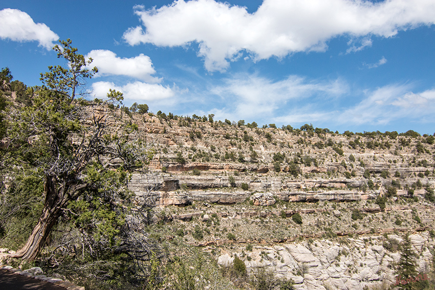 Walnut Canyon
1915 wurde der Canyon durch Präsident Woodrow Wilson zum 'National Monument' ernannt. 1934 wurde das Gebiet zu einem Nationalpark. 
Schlüsselwörter: Amerika, Walnut Canyon