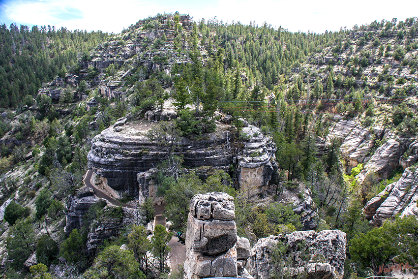 Walnut Canyon
Walnut Canyon - der zwar nur etwa 107 Meter tief ist, in seinem Inneren aber ca. 900 Jahre alte, in den Fels gehauene Behausungen des Sinagua-Volks aufweisen kann. Über einen 1,4 Kilometer langen Wanderweg kommt man zu mehreren dieser Behausungen, allerdings führt der Weg nur etwas über 50 Meter in die Tiefe, ein tieferes Hinabsteigen ist nicht gestattet.
Schlüsselwörter: Amerika, Walnut Canyon