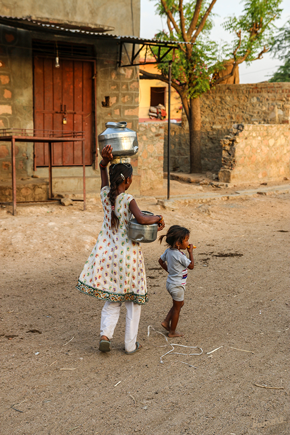 Geländewagen - Safari
Dorfimpressionen 
Schlüsselwörter: Indien, Echrana Gebirge, Leoparden