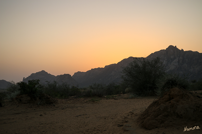 Sonnenuntergang
Im Echrana-Gebirge genossen wir bei einem Chai-Tee und Keksen den Sonnenuntergang und die Landschaft. Wir warteten darauf, dass es noch ein wenig dunkler wurde denn unserer eigentliches Ziel sind die dort lebenden Leoparden. Leider hatten wir kein Glück. 
Schlüsselwörter: Indien, Echrana Gebirge, Leoparden