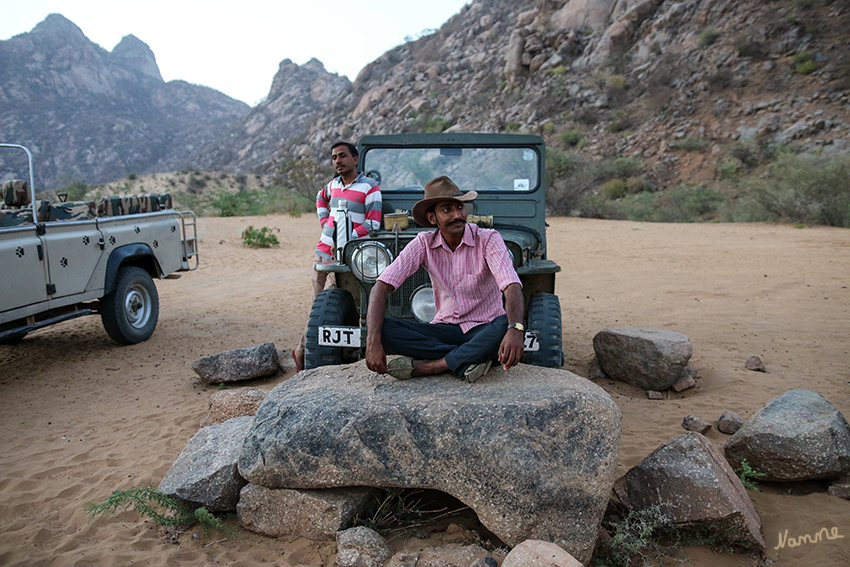 Geländewagen - Safari
Warten auf die Dunkelheit und leider vergeblich auf Leoparden.
Schlüsselwörter: Indien, Echrana Gebirge, Leoparden