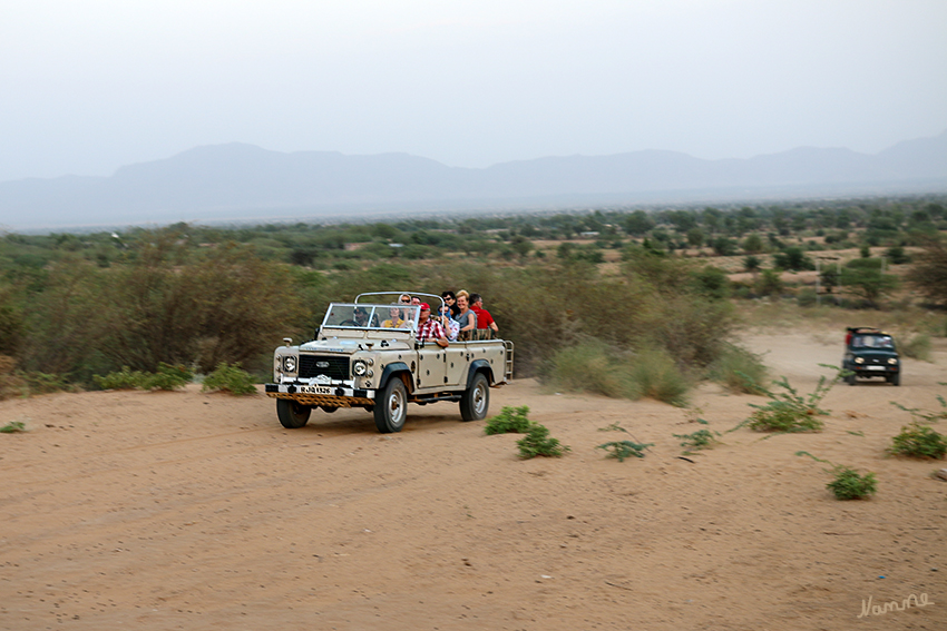 Geländewagen - Safari
Nun ging es weiter ins Gebirge
Schlüsselwörter: Indien, Echrana Gebirge, Leoparden