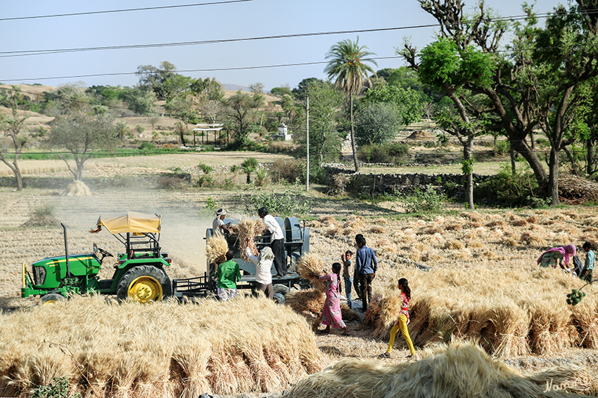 Unterwegs
Schlüsselwörter: Indien