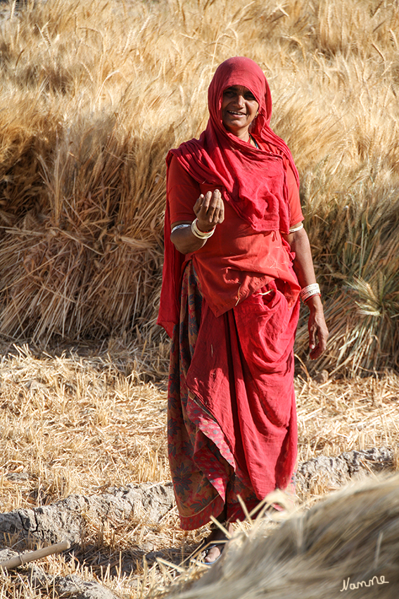 Unterwegs 
Schlüsselwörter: Indien,