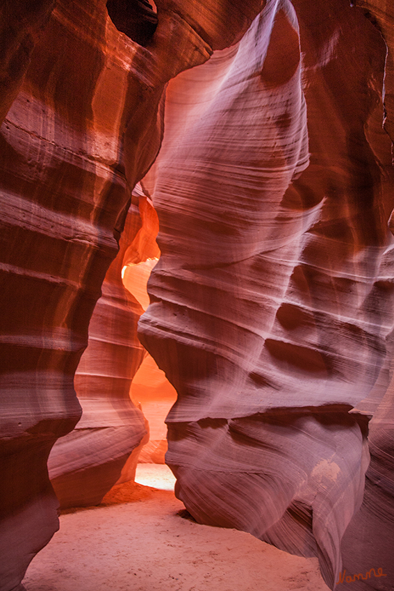 Antilope Canyon
Die Antelope Canyons liegen in der Nähe des Lake Powell in der Navajo-Nation-Reservation. Die meiste Zeit über sind beide Canyonteile trocken und zugänglich. Wenn Regenfälle angekündigt sind, besteht für die Canyons auf Grund der Gefahr von Sturzfluten ein Betretungsverbot.
laut Wikipedia
Schlüsselwörter: Amerika Antiop Canyon