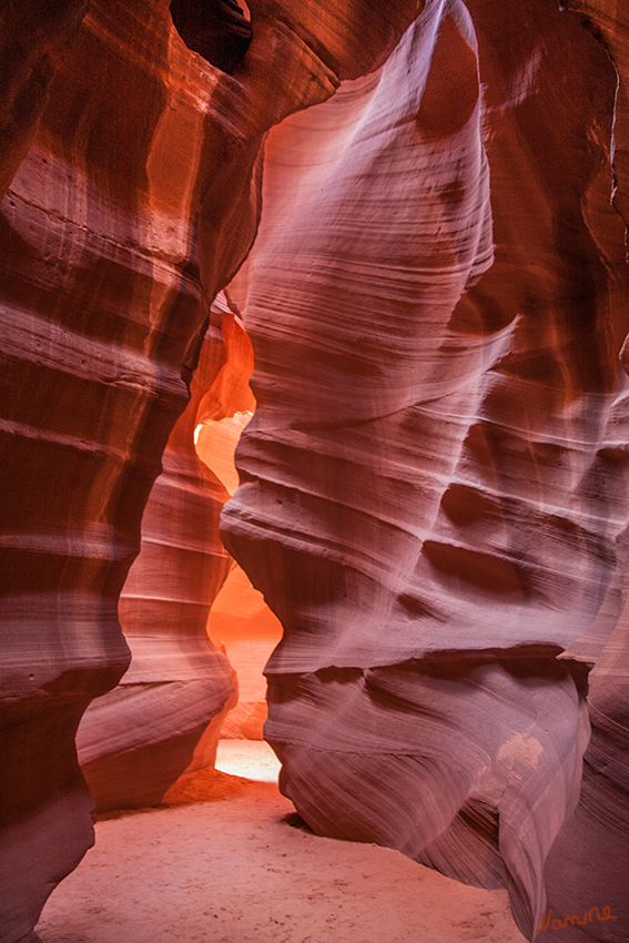 Antilope Canyon
Die Antelope Canyons liegen in der Nähe des Lake Powell in der Navajo-Nation-Reservation. Die meiste Zeit über sind beide Canyonteile trocken und zugänglich. Wenn Regenfälle angekündigt sind, besteht für die Canyons auf Grund der Gefahr von Sturzfluten ein Betretungsverbot.
laut Wikipedia
Schlüsselwörter: Amerika Antiop Canyon