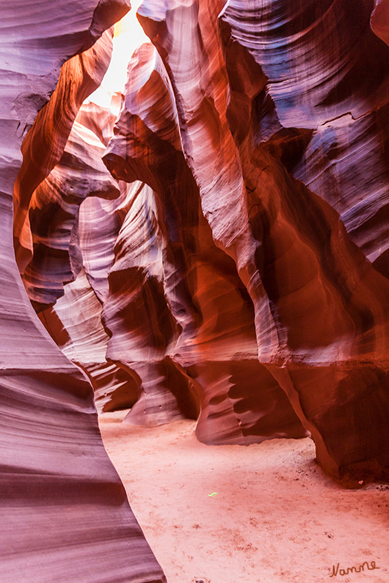 Antilope Canyon
Der Antelope Canyon ist der meistbesuchte Slot Canyon im Südwesten der Vereinigten Staaten. Er besteht aus dem Upper Antelope Canyon und dem Lower Antelope Canyon und befindet sich in der Nähe von Page in Arizona.
Der Upper Antelope Canyon ist ebenerdig begehbar, bis zu 44,3 m tief und hat eine Länge von etwa 400 m.
laut Wikipedia
Schlüsselwörter: Amerika Antiop Canyon