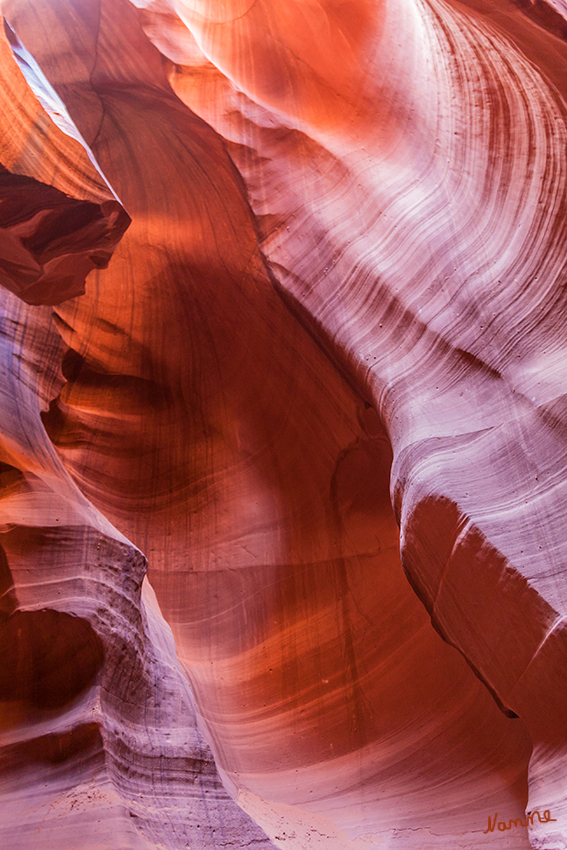 Antilope Canyon
Durch kleinen Öffnungen am oberen Canyonrand gelangt nur wenig Licht in die schmale aber tiefe Schlucht. Doch dieses Licht hüllt den Sandstein in alle erdenklichen Schattierungen von Rot über Orange bis Braun.
laut antiop-canyon.de
Schlüsselwörter: Amerika Antiop Canyon