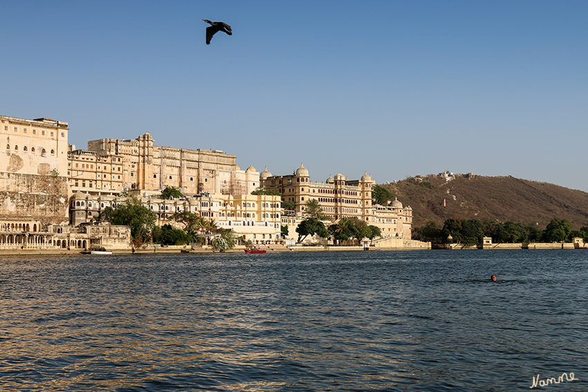 Udaipur - Bootstour
auf dem Pichola-See mit Blick auf dem Stadtpalast
Schlüsselwörter: Indien, Udaipur