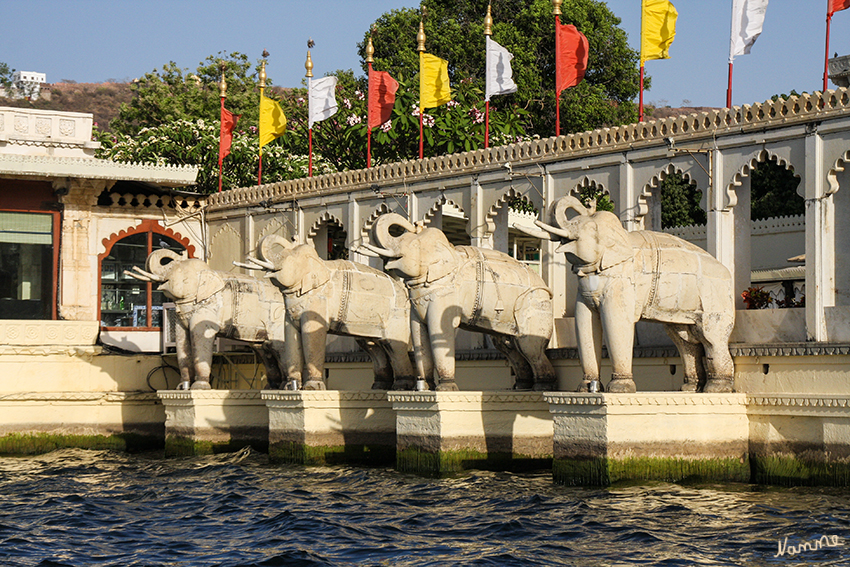 Udaipur - Bootstour
Zugang zu Insel Jag Mandir.
Hier wurden auch Teile des James-Bond-Filmes "Octopussy" mit Roger Moore gedreht. 
Schlüsselwörter: Indien, Udaipur, Jag Mandir