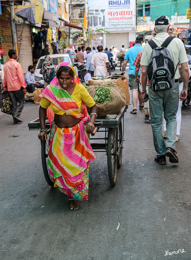 Udaipur - In den Gassen
Wenn man durch die Gassen schlendert erlebt man ein ganz besonderes Indien. 
Schlüsselwörter: Indien, Udaipur