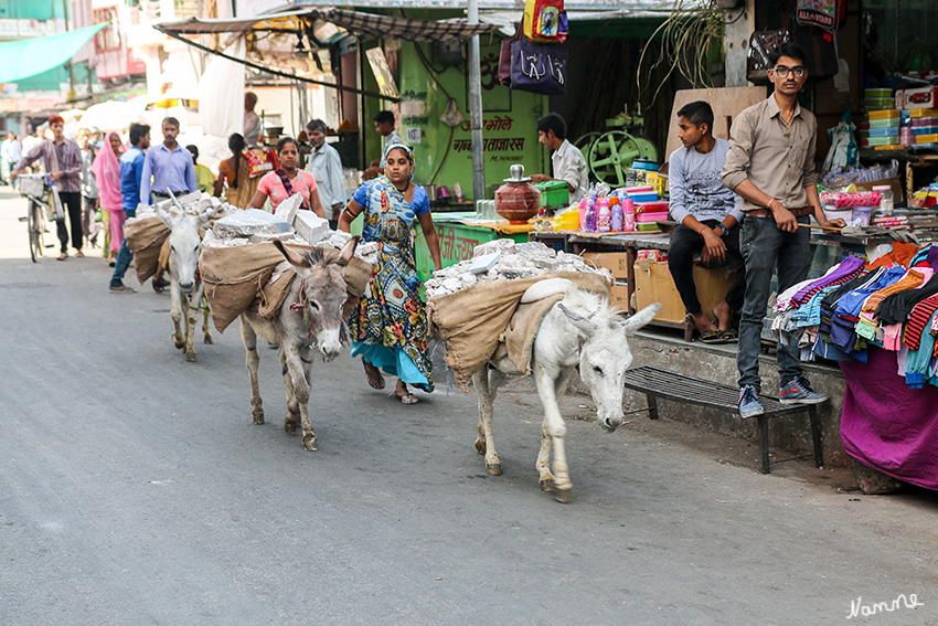 Udaipur - In den Gassen
Wenn man durch die Gassen schlendert erlebt man ein ganz besonderes Indien. 
Schlüsselwörter: Indien, Udaipur