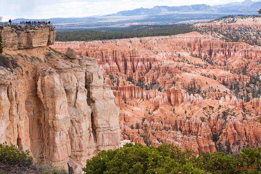 Bryce Canyon NP
Oben am Bryce Point
Schlüsselwörter: Amerika Bryce Canyon