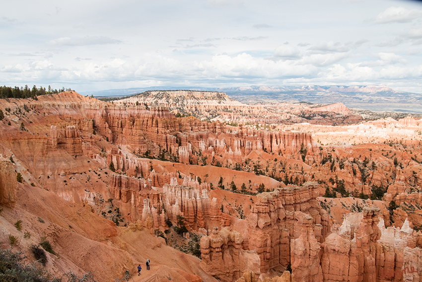 Bryce Canyon NP
Sunset Point
Der Bryce Canyon wurde nicht durch einen Fluss gebildet. Er ist damit kein Canyon im eigentlichen Sinne wie zum Beispiel der Grand Canyon. Wind, Wasser und Eis erodierten die Kante des Plateaus zu großen Amphitheatern mit bizarren Felsnadeln, so genannte Hoodoos.
laut Wikipedia
Schlüsselwörter: Amerika Bryce Canyon