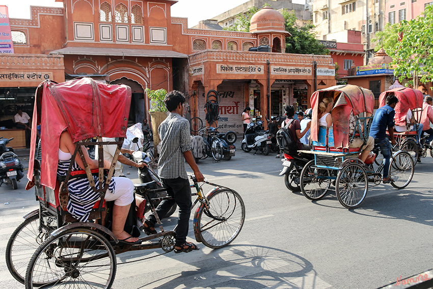 Jaipur - Fahrradrikschatour
Durch die Altstadt mit einer Rikscha-Fahrt, die uns die alten Straßen ganz anders erleben lies. 
Schlüsselwörter: Indien, Jaipur, Fahrradrikscha