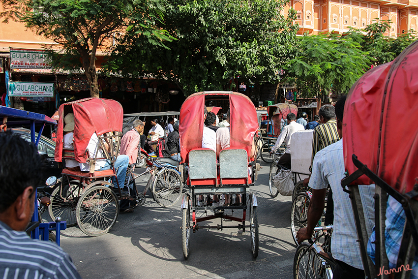 Jaipur - Fahrradrikschatour
Durch die Altstadt mit einer Rikscha-Fahrt, die uns die alten Straßen ganz anders erleben lies.
Schlüsselwörter: Indien, Jaipur, Fahrradrikscha