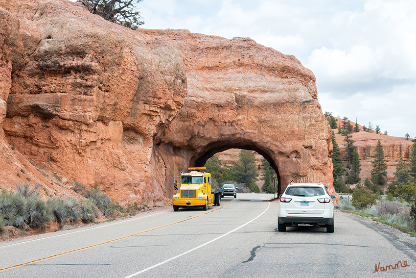 Red Canyon
Diese Tunnel wurden extra für die Straße in den Sandstein gehauen.
Schlüsselwörter: Amerika