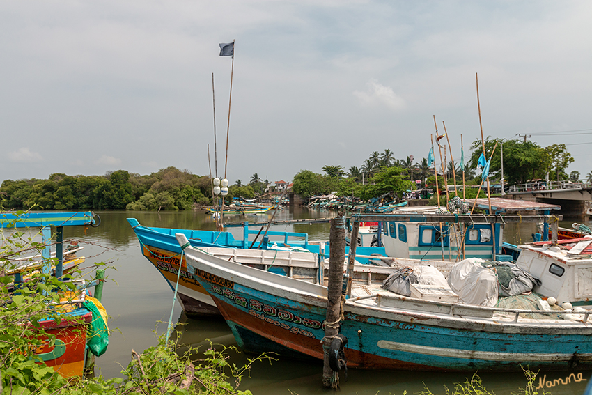Negombo - Hafen
Schlüsselwörter: Sri Lanka, Negombo