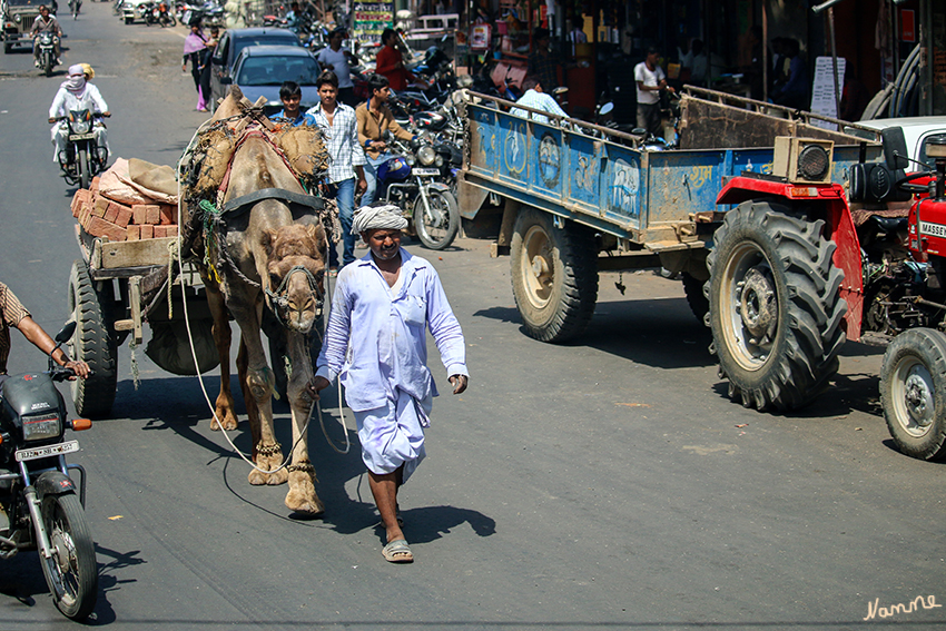 Unterwegs
Kleinere Güter werden sehr häufig per Karren, im ländlichen Bereich zum Teil auch mit Hilfe von Nutztieren, befördert.
Schlüsselwörter: Indien, Rajasthan