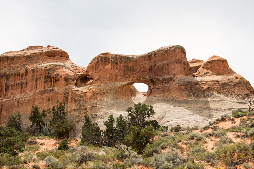 Arches NP
Tunnel Arch
Schlüsselwörter: Amerika Arches NP Tunnel Arch