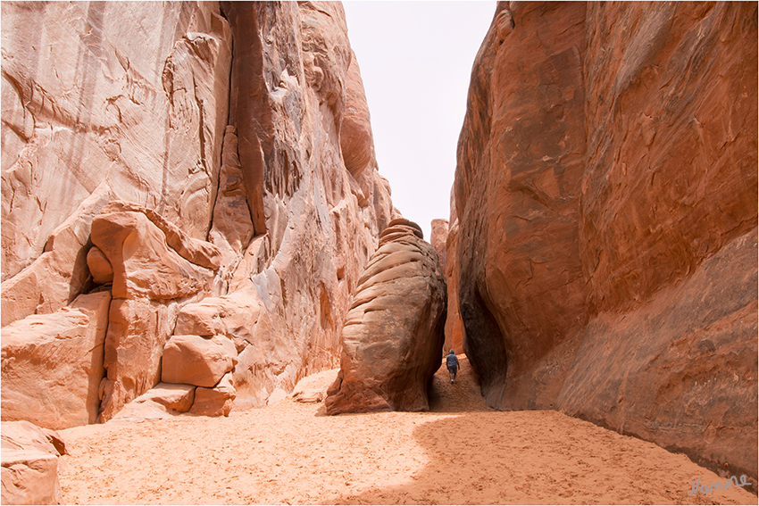 Arches NP
Der Weg führt durch tiefen Sand zu einem einsamen Felsbogen. Der sogenannten Sand Dune Arch.
Schlüsselwörter: Amerika Arches NP