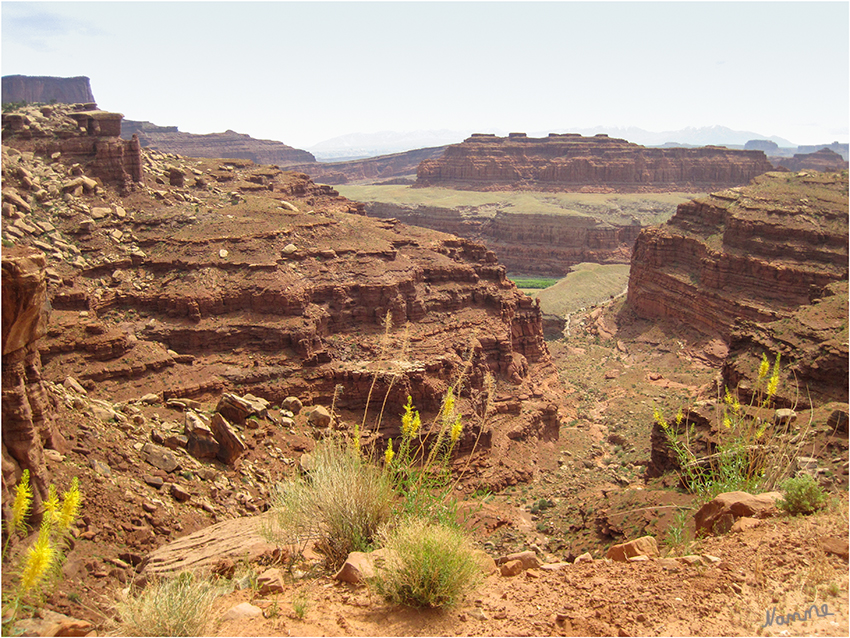 Canyonlands
Die "Island in the Sky" ist eine weitläufige Hochebene (Mesa) die von Colorado und Green River eingeschlossen wird. Es gibt viele spektakuläre Aussichten z. B. eine Sandsteinabbruchkante rund 360 Meter unterhalb des Plateaus sowie auf die Flussläufe. 
Schlüsselwörter: Amerika Canyonlands Jeep