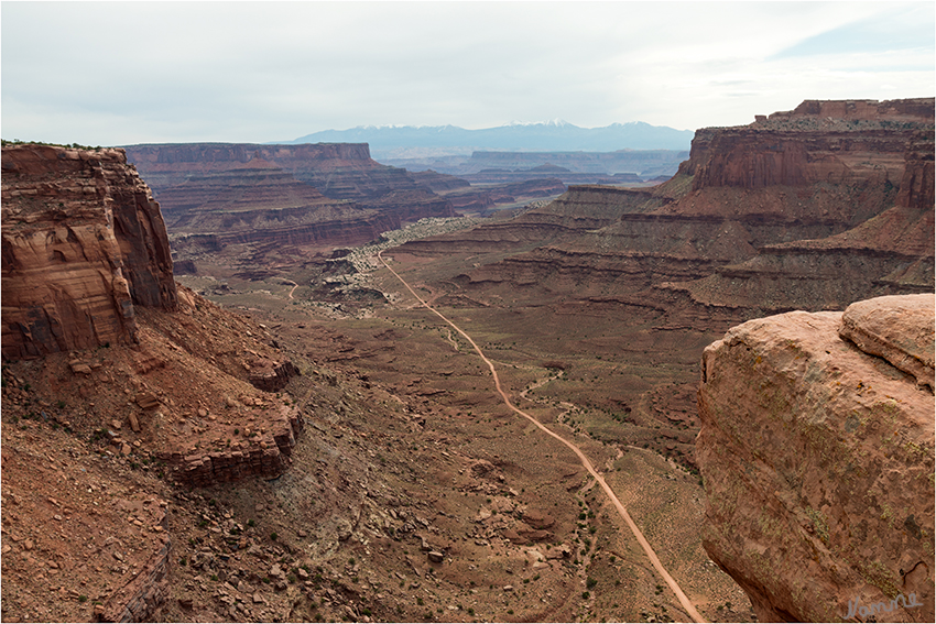 Canyonlands
Die Shafer Trail Road, die um 1900 herum von den Rinderzüchtern Frank und John Schafer gebaut wurde, um Vieh zu anderen Weiden zu bringen. Später, ab 1950, haben Uran Prospektoren den Pfad zu einem Weg ausgebaut, der mit Jeeps mit Vierradantrieb befahren werden kann.
laut wikivoyage.org
Schlüsselwörter: Amerika Canyonlands Jeep