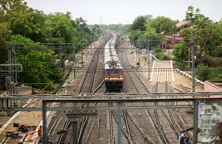Mit dem Zug nach Bharatpur
Auf dem Weg zum Zug spekulierten wir schon, wie wir wohl reisen werden. Sitzen wir vielleicht auf dem Dach? Oder hängen an den Waggons? Schnell wurden wir auf den Boden der Tatsachen zurückgeholt. Wir hatten reservierte Sitzplätze.
Schlüsselwörter: Indien, Bharatpur, Zug