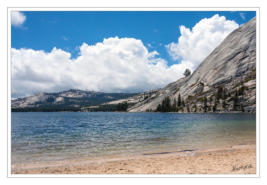 Tenaya Lake
Der Tenaya Lake ist ein See im Yosemite-Nationalpark im US-Bundesstaat Kalifornien. Er liegt zwischen dem Yosemite Valley und der Tuolumne-Wiese. Der See wurde durch den Tuolumne-Gletscher gebildet. 
laut Wikipedia
Schlüsselwörter: Amerika Yosemite NP Tenaya Lake