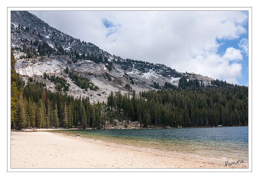 Tenaya Lake
Der See liegt auf einer Höhe von 2484 m über dem Meeresspiegel. Der See wurde nach Tenaya benannt, dem Häuptling der bei benachbarten Stämmen als Yosemite bekannten Ahwahnee (Ahwahneechee).
laut Wikipedia
Schlüsselwörter: Amerika Yosemite NP Tenaya Lake