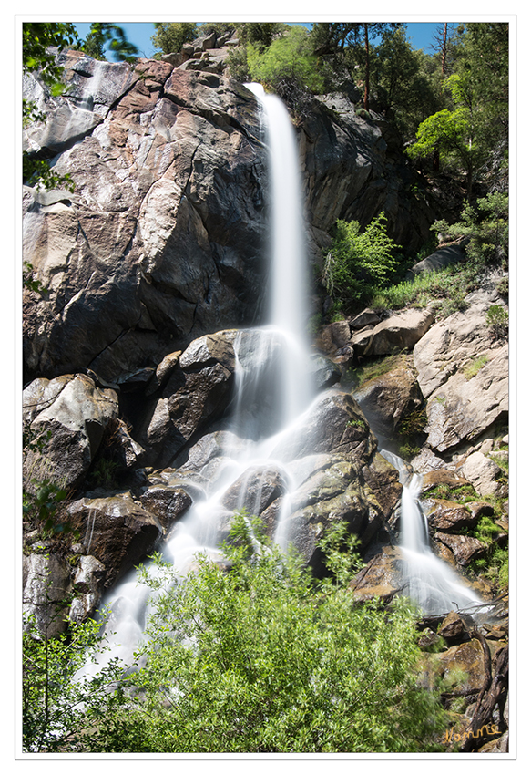 Sequoia and Kings Canyon Nationalpark
Auf dem Weg in den Kings Canyon kamen wir an den Grizzly Falls vorbei, einen attraktiven fast 23 m  (75 ft) hohen Wasserfall.
Schlüsselwörter: Amerika Sequoia and Kings Canyon Grizzly Falls