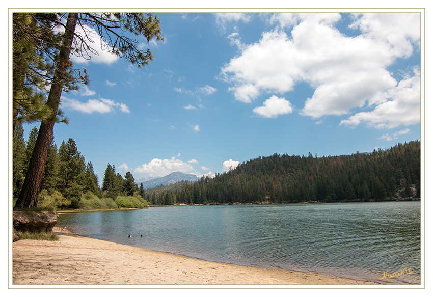Hume Lake
Der künstliche 87 Hektar große See ist ein beliebtes Erholungsgebiet. Hier gibt es wunderschöne Stellen am Strand. Außerdem kann man angeln und Kanu fahren.
Schlüsselwörter: Amerika  Sequoia and Kings Canyon Hume Lake