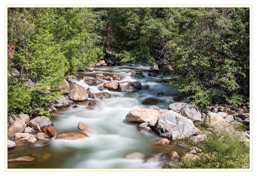 Sequoia and Kings Canyon Nationalpark
Roaring River
der Fluss nach dem Wasserfall. Er führt das ganze Jahr Wasser.
Schlüsselwörter: Amerika Sequoia and Kings Canyon Roaring River