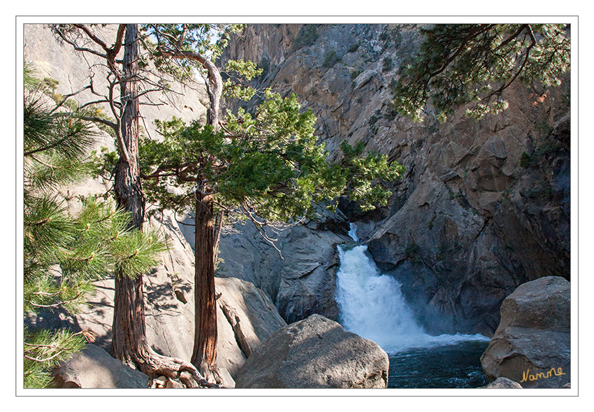 Sequoia and Kings Canyon Nationalpark
Ein kleiner Fußweg von der Straße entfernt ist der Roaring River Fall.
Schlüsselwörter: Amerika Sequoia and Kings Canyon Roaring River