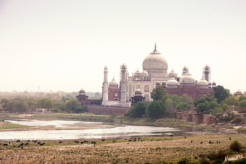 Agra-Rote Fort - Taj Mahal
Blick vom Roten Fort über den Fluß Yamuna.
Es war hier im Fort, wo Shah Jahan von seinem Sohn Akbarabad im Jahre 1658 eingekerkert wurde.
Er verbrachte seine letzten Lebensjahre als Gefangener in Agra, mit Blick auf das Taj Mahal. Seine älteste Tochter Jahanara, welche seit dem Tod ihrer Mutter Mumtaz Mahal die Aufgaben der ersten Dame bei Hofe erfüllt hatte, pflegte ihn aufopfernd. Nach seinem Tod (1666) wurde er an der Seite von  Mumtaz Mahal beigesetzt.
Schlüsselwörter: Indien, Agra, Taj Mahal, Rote Fort