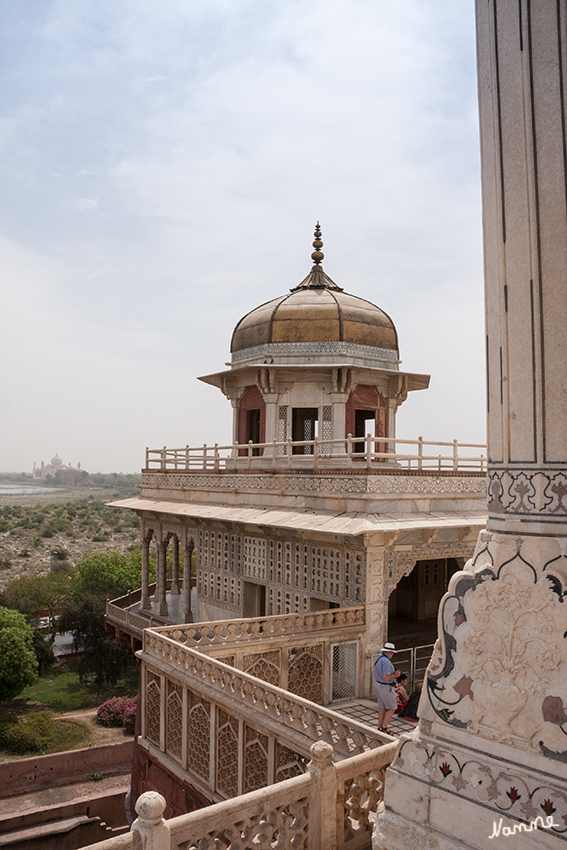 Agra - Das Rote Fort
Zierliche, feine Schnitzereien zieren die Wände der Paläste aus weißem Mamor welches sich mit dem Taj (links im Hintergrund) im Stil vereint.
Schlüsselwörter: Indien, Agra, Rote Fort